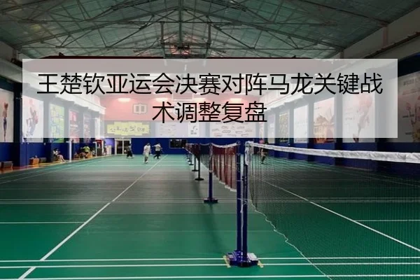 王楚钦亚运会决赛对阵马龙关键战术调整复盘